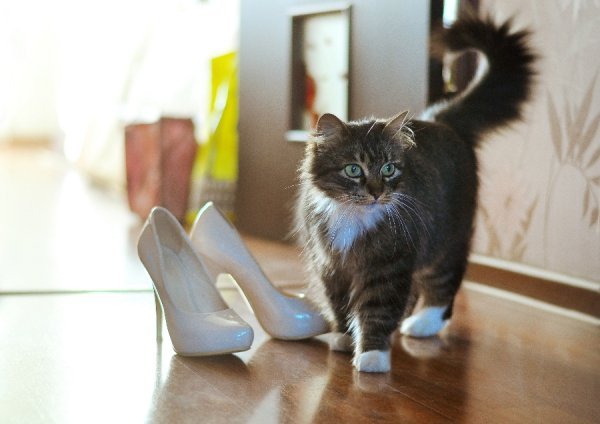 Фотовиставка Ірини Ільчук