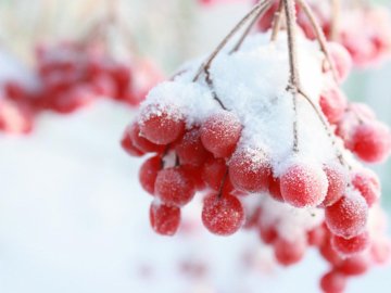 Погода в Луцьку та Волинській області на завтра, 7 лютого