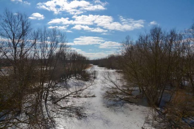 Сонце, весна, котики: як Луцьк прокидається після зими. ФОТО