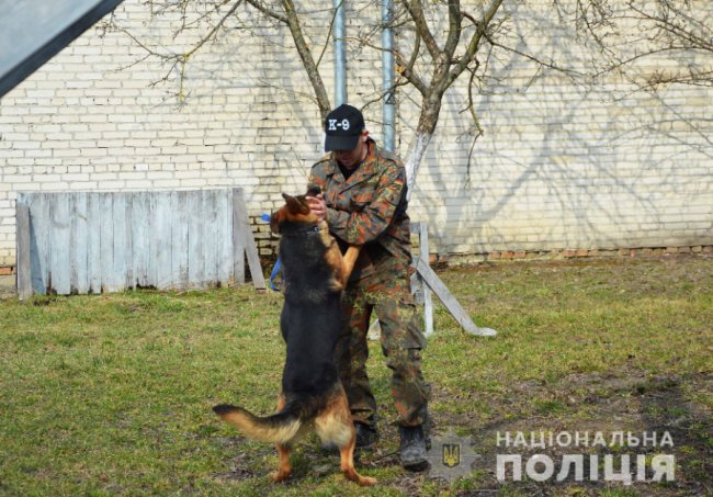 Як живеться хвостатим «службовцям» у кінологічному центрі волинської поліції