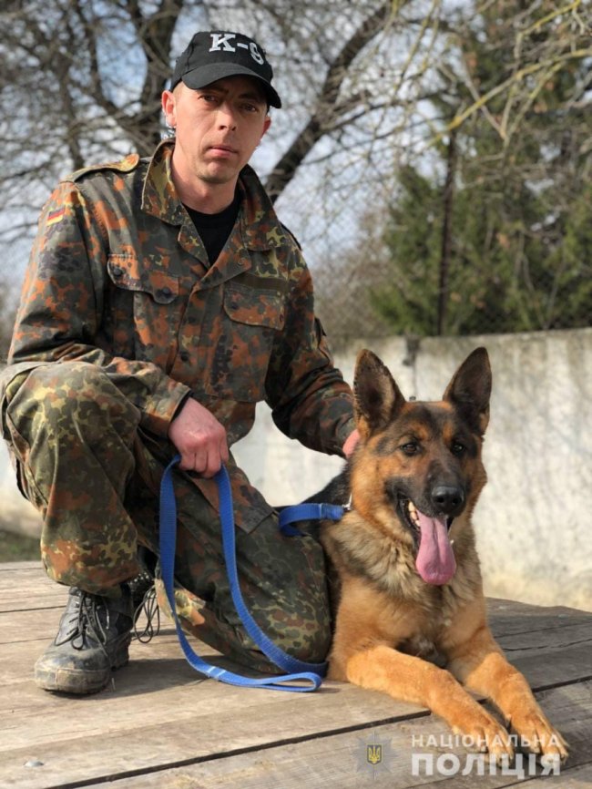 Як живеться хвостатим «службовцям» у кінологічному центрі волинської поліції