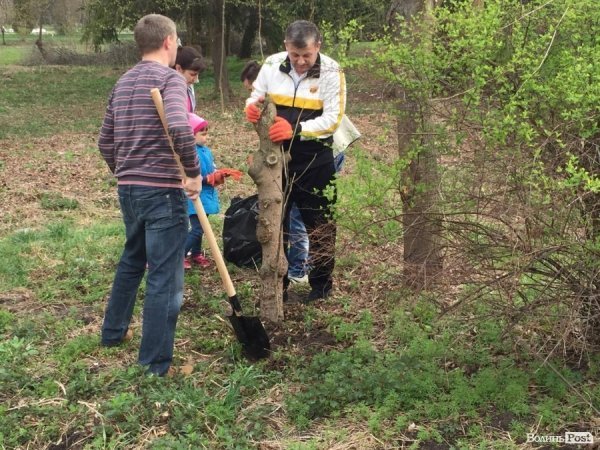 У Луцьку працівники ПриватБанку прибирали і садили дерева в парку ім. Лесі Українки. ФОТО