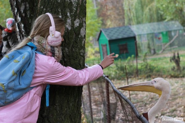 У Луцьку відкрили оновлений зоопарк. ФОТО 
