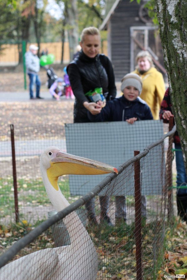 У Луцьку відкрили оновлений зоопарк. ФОТО 