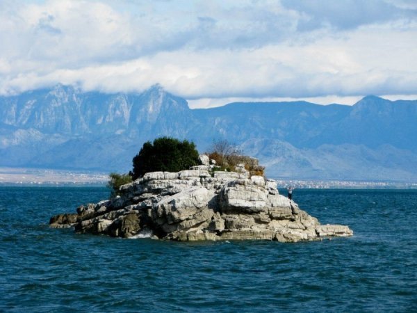 Автор фото  Ірина Новосад 