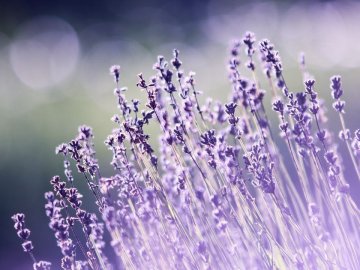 Погода в Луцьку та Волинській області на вихідні, 18 і 19 липня