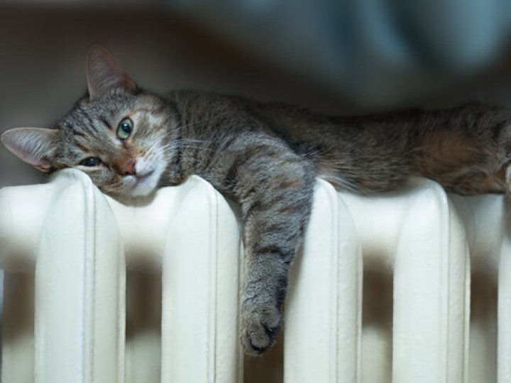 Опалення у листопаді в Луцьку не вимикатимуть, - «Луцьктепло»