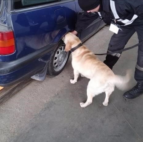 Прикордонники Луцького та Львівського загонів виявили сховки цигарок. ФОТО