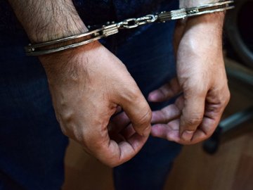 Саджанці, велопарковка, хвіртка і тример: на Волині судили злодія «широкого профілю»