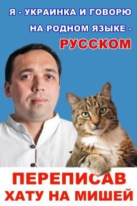 Бабуся, яка переписала хату на кота: інтернет жартує. ФОТО