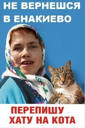 Бабуся, яка переписала хату на кота: інтернет жартує. ФОТО