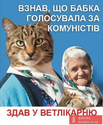 Бабуся, яка переписала хату на кота: інтернет жартує. ФОТО