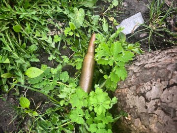 У Луцьку чоловік знайшов на вулиці боєприпас. ФОТО