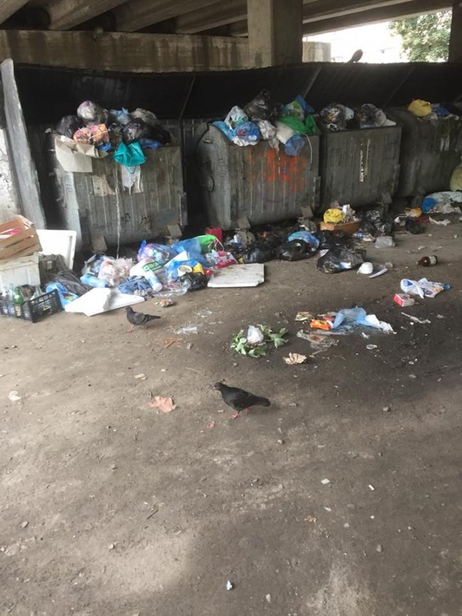 У Луцьку під мостом – купи сміття. ФОТО