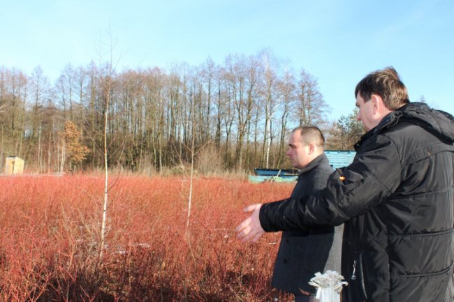 На Волині розводять страусів та ему, які несуть зелені яйця. ФОТО