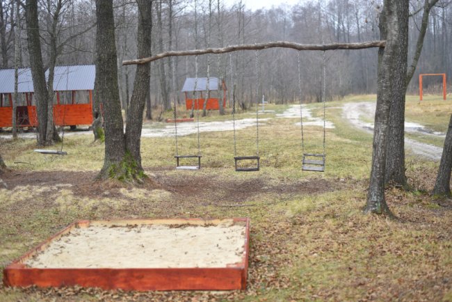 Чим особливий військовий ліс? Розмова із керівником «Волинського військового лісгоспу»