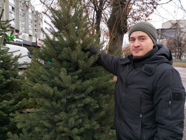 Скільки коштує ялинка в Луцьку
