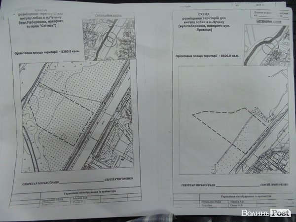 У Луцьку визначили місця, де можна вигулювати собак. КАРТА