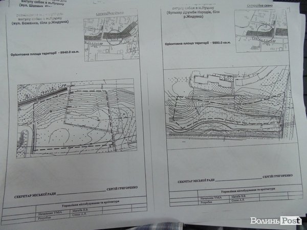 У Луцьку визначили місця, де можна вигулювати собак. КАРТА