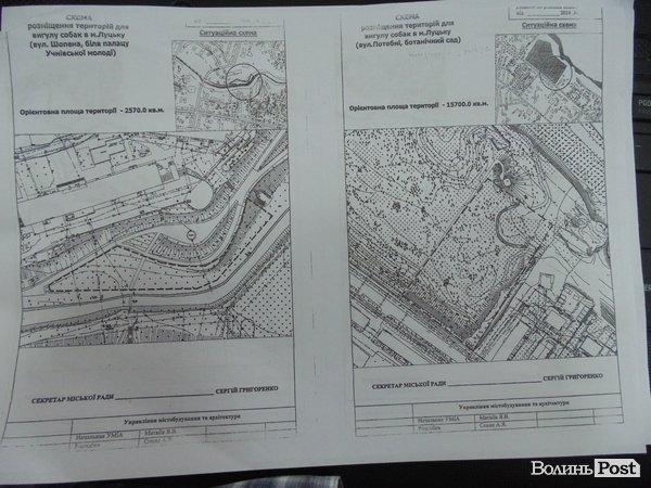 У Луцьку визначили місця, де можна вигулювати собак. КАРТА