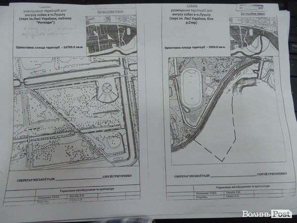 У Луцьку визначили місця, де можна вигулювати собак. КАРТА