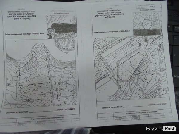 У Луцьку визначили місця, де можна вигулювати собак. КАРТА