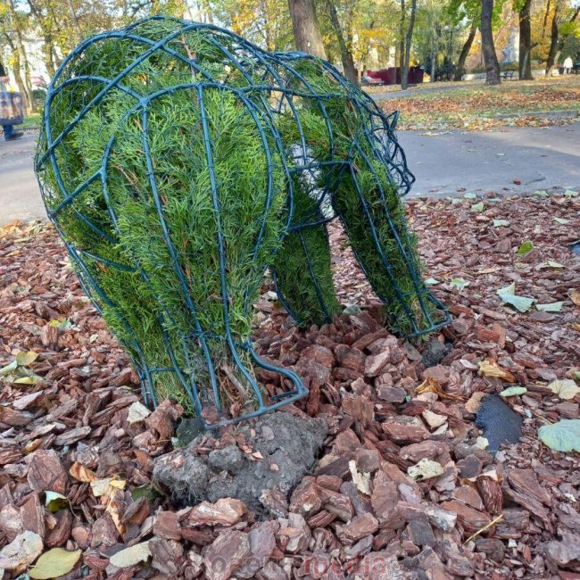 На Волині камери зафіксували вандалів у парку: просять впізнати