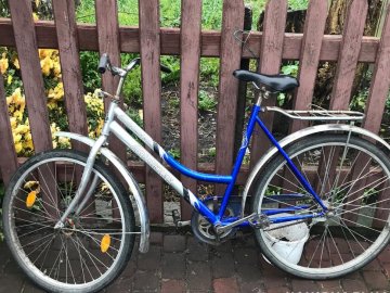 Волинські поліцейські викрили серійного злодія