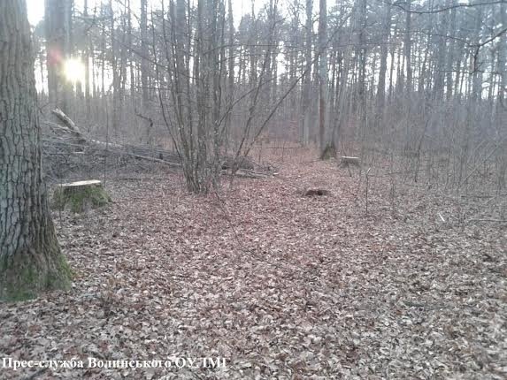 Гонка-переслідування на Волині завершилася аварією. ФОТО