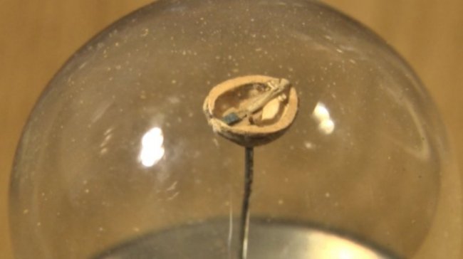 Дерев’яні букети у лампочці, бочка у пляшці та різьблені розп’яття: волинянин створив унікальну колекцію мініатюр. ВІДЕО