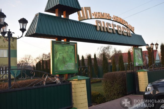 Як район на Волині заробляє на лісових скарбах