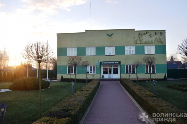 Як район на Волині заробляє на лісових скарбах