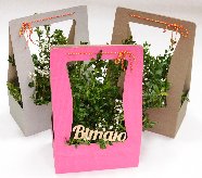 Море подарунків та великі знижки: як луцький «Магазин Упаковки» відсвяткує дворіччя*