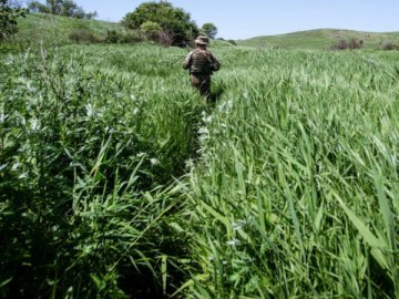 На Донбасі почалося перемир'я