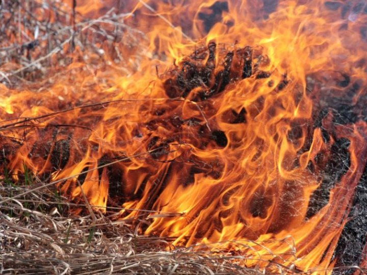 Спалював сухостій: на Волині покарали матір за вчинки сина