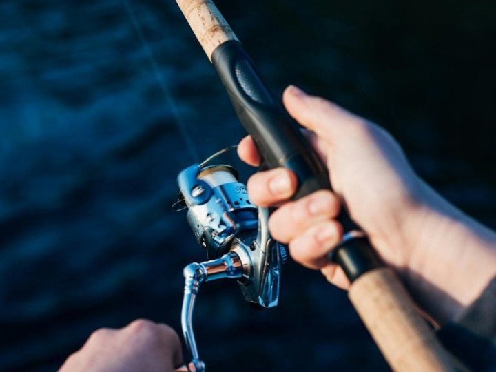 Яку рибу заборонено ловити в Україні: правила та штрафи