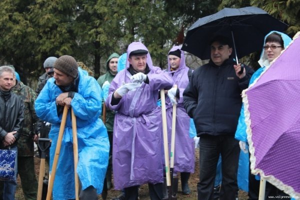 Мер Луцька і працівники «ПриватБанку» насадили дерев в парку. ФОТО