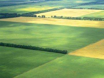 Волинська прокуратура хоче забрати у нечесних фермерів понад 380 гектарів землі