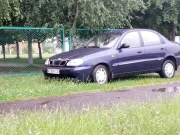 «Що з таким піндосом можна зробити?»: у Луцьку біля школи зловили автоандона