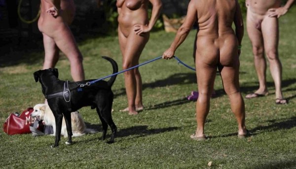 Нудисти на пікніку. ФОТО