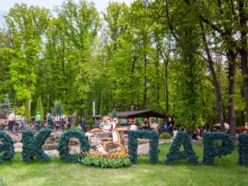 Тисячі робочих місць, іноземні інвестиції: у шести районах Волині хочуть створити мережу екопарків