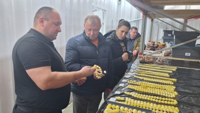 Волинь презентує бурштин майбутнього: державна комісія високо оцінила роботу КП «Волиньприродресурс»