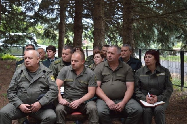 Шведська компанія відзначила досвід волинських лісівників. ФОТО