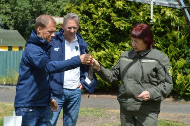 Шведська компанія відзначила досвід волинських лісівників. ФОТО