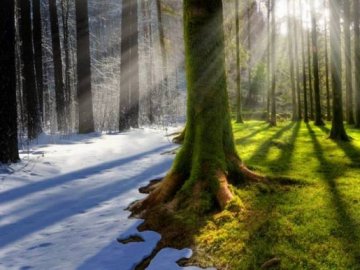 З наступного тижня в Україну прийде потепління, – синоптик