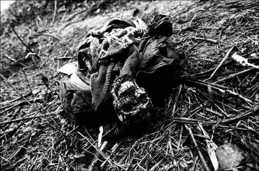 Як виглядала столиця Чечні після «миротворчих місій» Росії. ФОТО