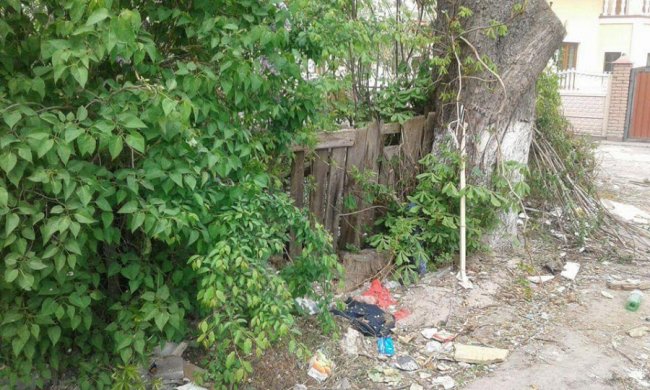 У Луцьку муніципали продовжують зносити паркани у дворах. ФОТО