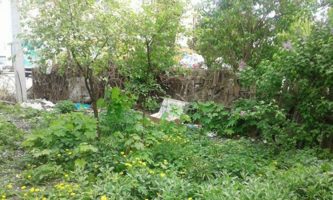 У Луцьку муніципали продовжують зносити паркани у дворах. ФОТО