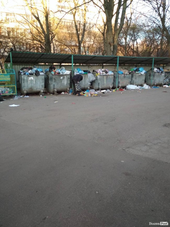 На луцькій вулиці тижнями не вивозять сміття. ФОТО