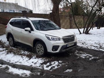 У Луцьку «автохами» знищили зелену зону. ФОТО